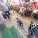Market Shopping in Korea 